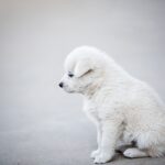 脆さを知っているから