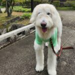 いつもありがとう