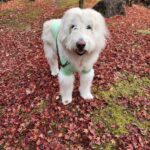 季節のうつろいを