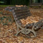 落ち葉から学ぶ