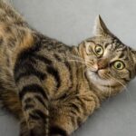 気付いてなかった！