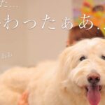 診察終わりの笑顔