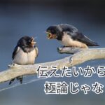 極論じゃなくて