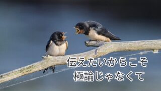 極論じゃなくて