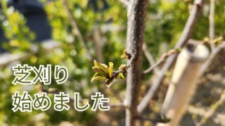 芝刈りはじめました
