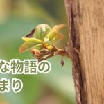 新たな物語