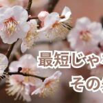 最短じゃない