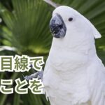 同じ目線で