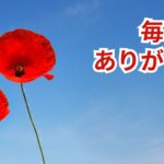 毎日のありがとう