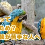 雑談って何のため