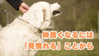 仲良くなるには見慣れることから
