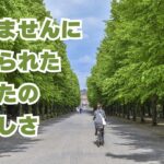 すみませんに込められたあなたのやさしさ