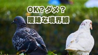 曖昧なボーダーライン