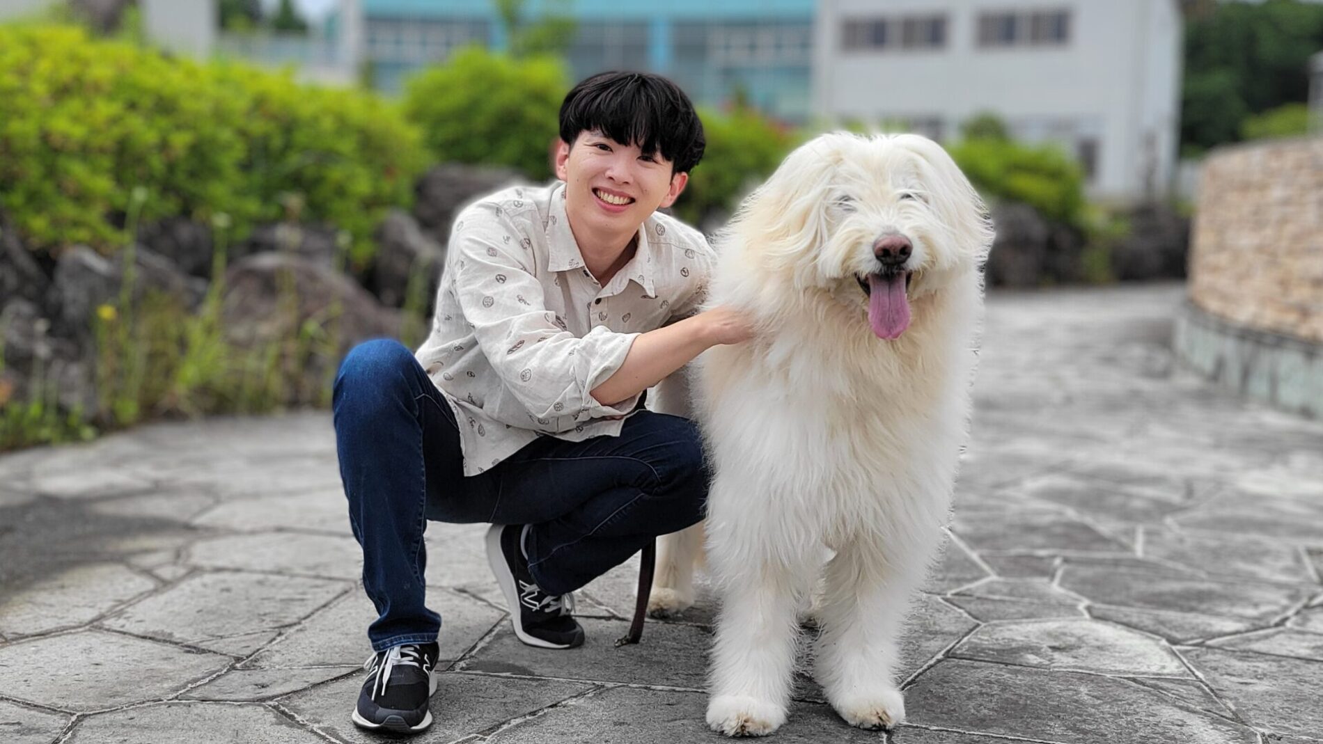 動物大好きな私