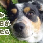 なんか眠い日が続いたら