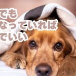 少しでも良くなっていればそれでいい