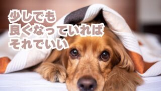 少しでも良くなっていればそれでいい