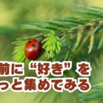 好きをちょっと集めてみる