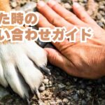 聞いていいのかな？にお答えします