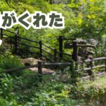 温泉がくれた癒し