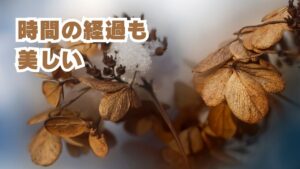 時間の経過も美しい