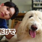 横にいるだけで