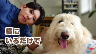 横にいるだけで