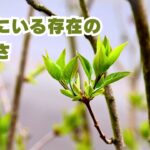 傍にいる存在の大切さ