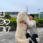 クールそう？本当は笑います