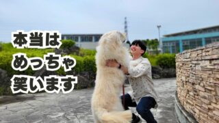 クールそう？本当は笑います