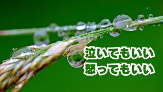 泣いてもいい怒ってもいい