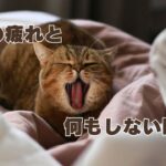 夏の疲れと何もしない時間