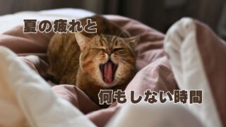 夏の疲れと何もしない時間