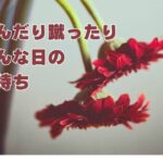 踏んだり蹴ったり