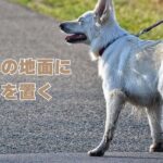 真夏の地面に足を置く