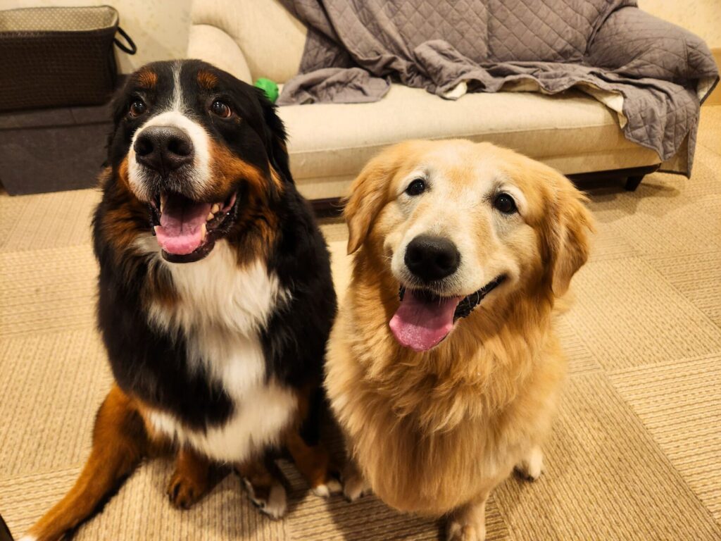 2ショット
