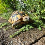 ポカポカしてから１歩目を