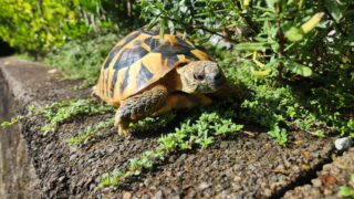 ポカポカしてから１歩目を