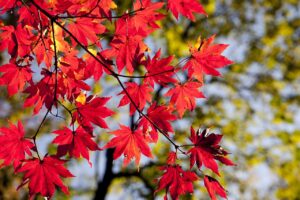 大和町でカウンセリングをご検討の方へ