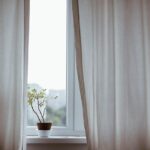 朝日が教えてくれたこと