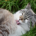 ちょっと気づいてあげたい