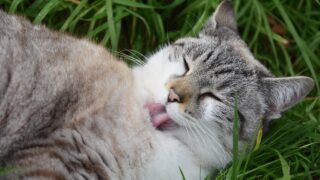 ちょっと気づいてあげたい