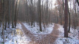 最短じゃなくていい日