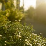 想っちゃダメと責めないで