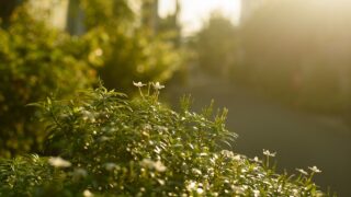 想っちゃダメと責めないで