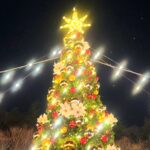 キラキラの夜に