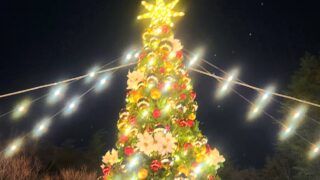 キラキラの夜に