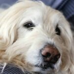 褒めるハードルは低くていい