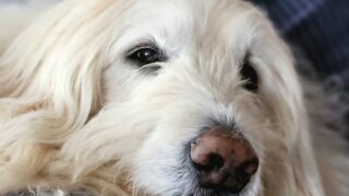 褒めるハードルは低くていい