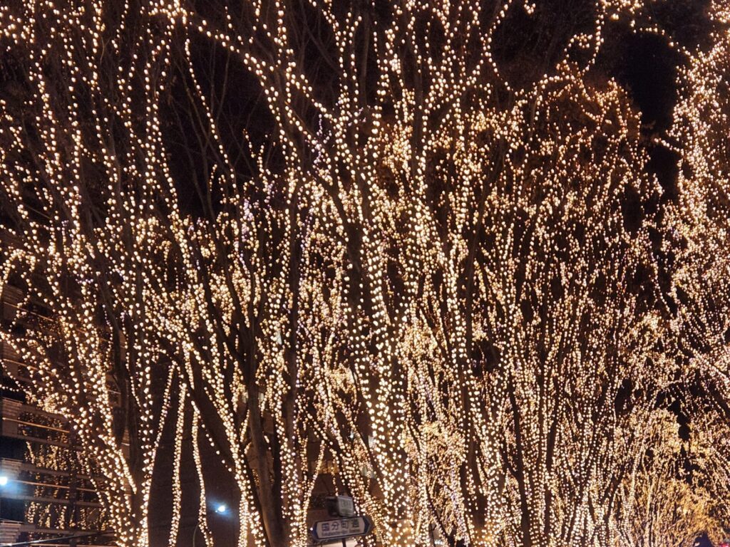 光のページェント